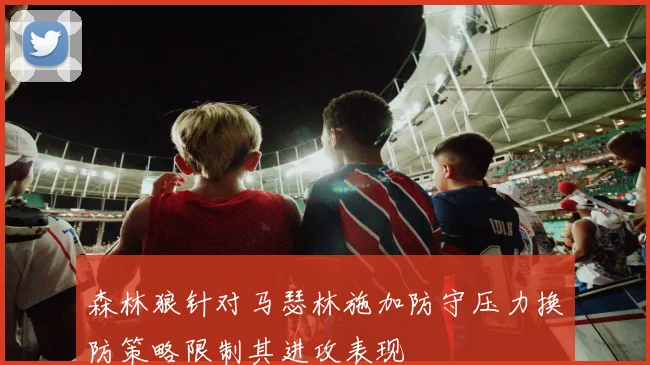 森林狼针对马瑟林施加防守压力换防策略限制其进攻表现
