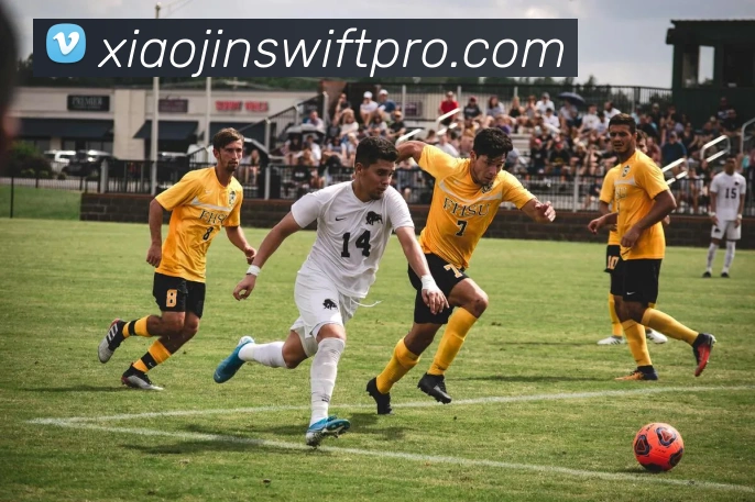 App Interface Preview