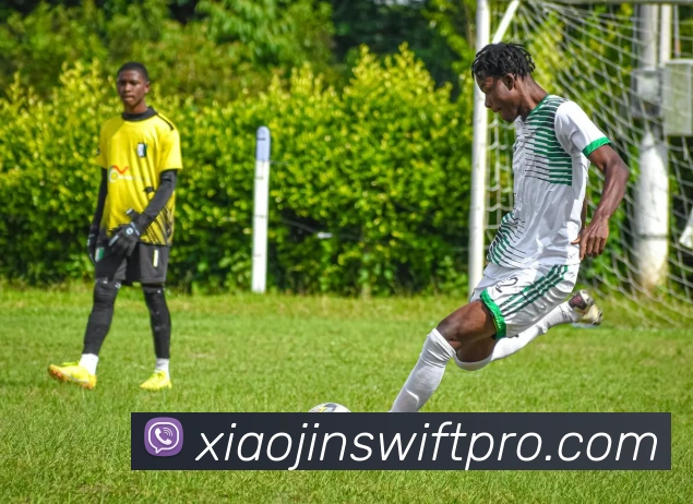 小金体育APP 封面图